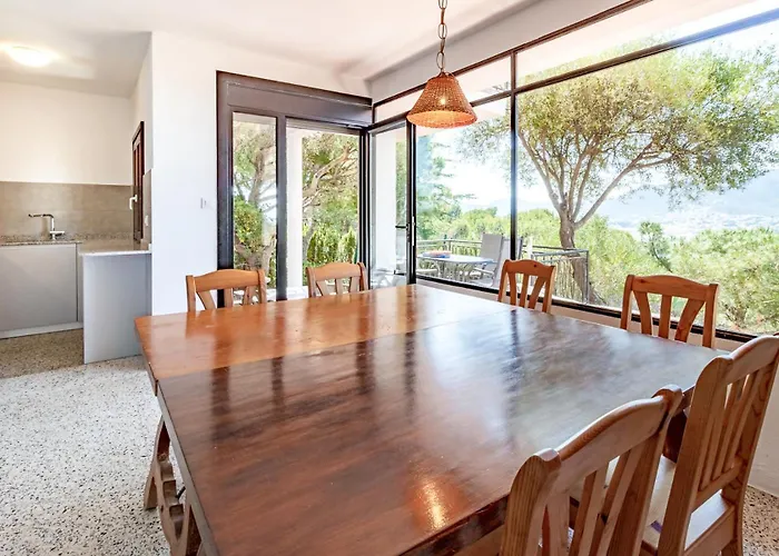 Apartment Grifeu 08 - Con Terraza Exterior *