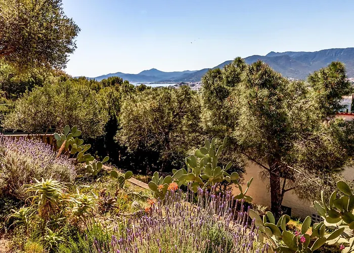 Grifeu 08 - Con Terraza Exterior * Girona