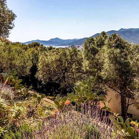 Grifeu 08 - Con Terraza Exterior * Жирона